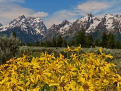 Grand Tetons National Park