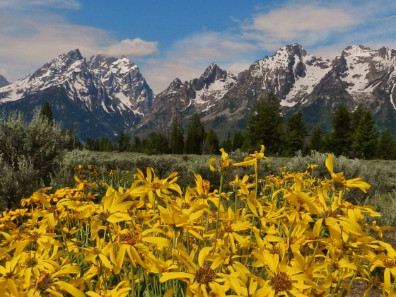Grand Tetons National Park