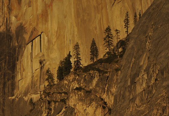 Yosemite National Park