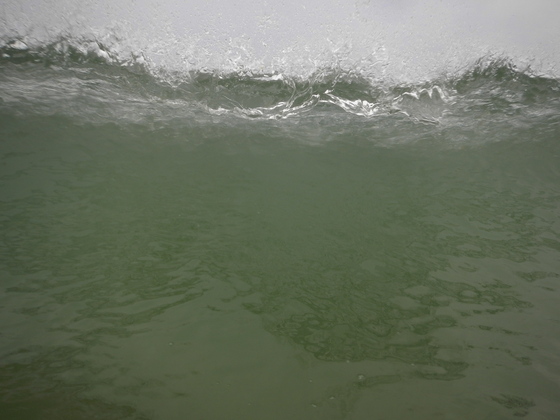 Cape Cod National Sea Shore