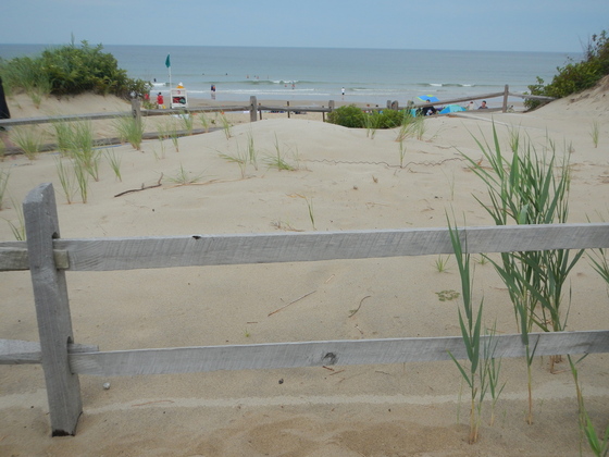 Cape Cod National Sea Shore - Coast Guard Beach