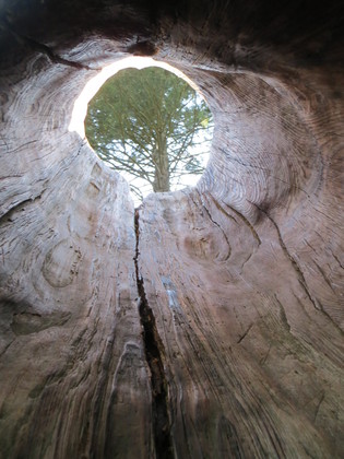 Kings Canyon NP