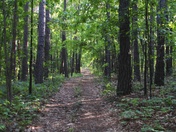 Mark Twain National Forest