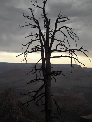 Grand Canyon