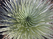Haleakala National Park