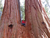 Sequoia National Park