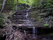 New River Gorge National River 