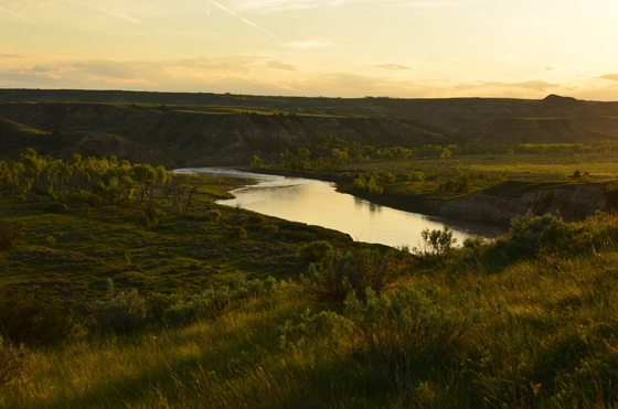 Theodore Roosevelt National Park