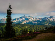 Mount Rainier National Park