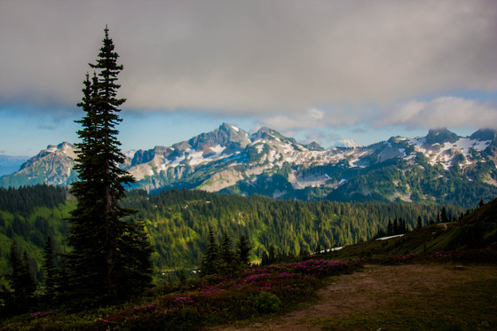Mount Rainier National Park