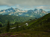 Mount Rainier National Park