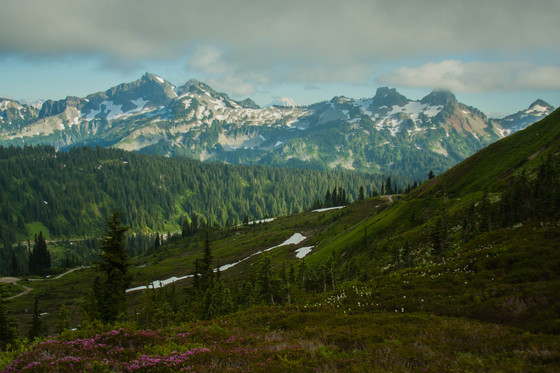Mount Rainier National Park
