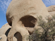 Skull Rock