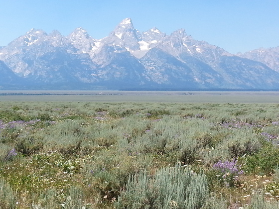 Teton National Park