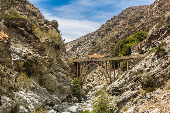 Angeles National Forest