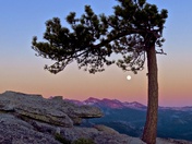 Yosemite National Park