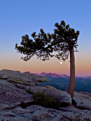 Yosemite National Park