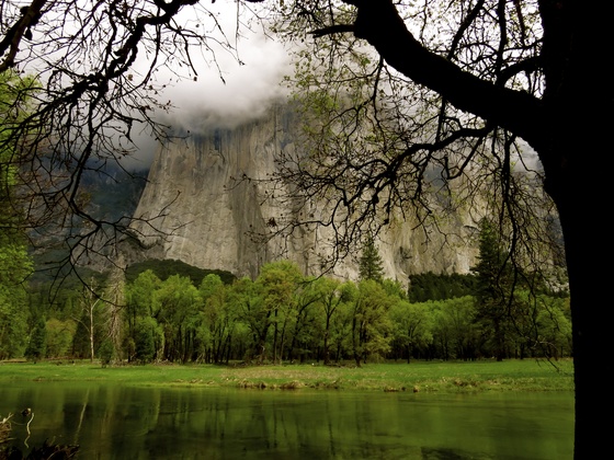 Yosemite National Park