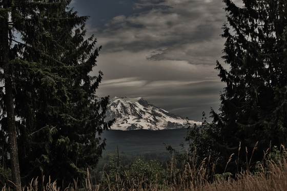 Mt Rainier