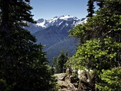 Olympic National Park