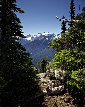 Olympic National Park