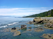 Olympic National Park