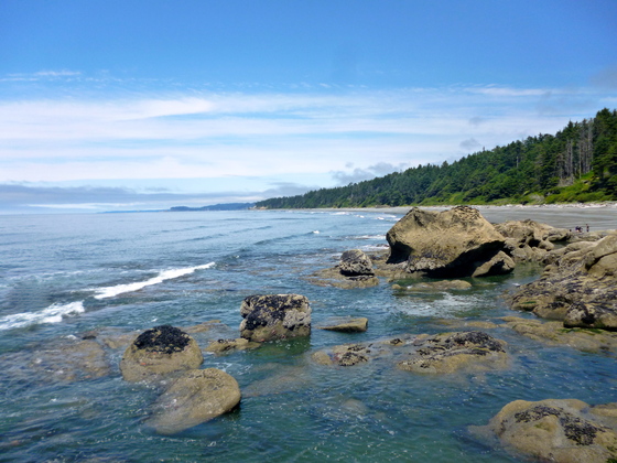 Olympic National Park