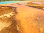 Yellowstone