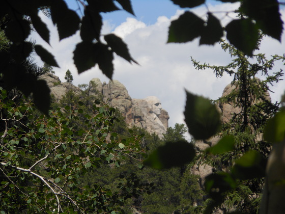 Black Elk Wilderness Area