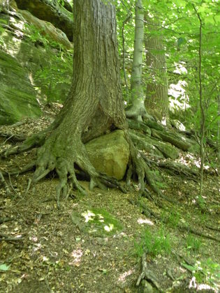 Cuyahoga National Park