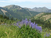 Olympic National Park
