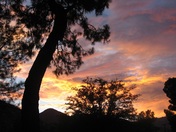 Sequoia National Forest