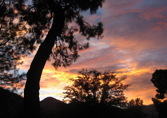 Sequoia National Forest