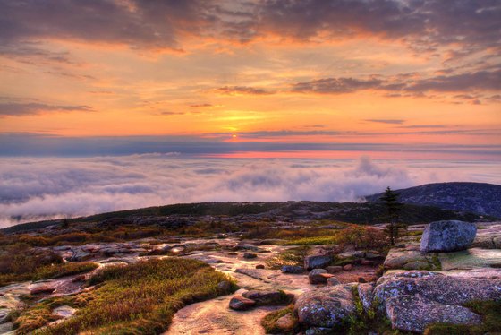 Acadia National Park
