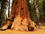 Sequoia National Park