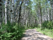Cook Lake, Wyoming