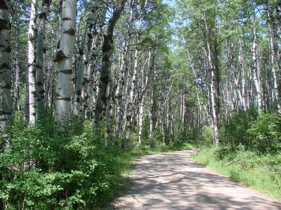 Cook Lake, Wyoming