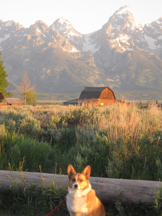 Grand Teton National Park