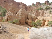 Coconino National Forest/Red mountain