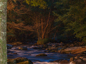 Great Smoky Mountain National Park