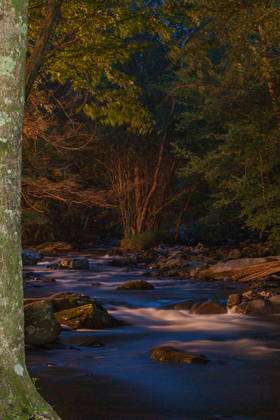 Great Smoky Mountain National Park
