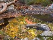 Great Smoky Mountain National Park