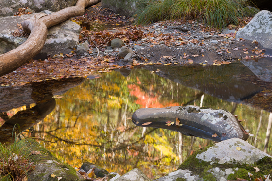 Great Smoky Mountain National Park