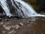 Gallatin National Forest