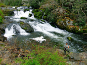 Nantahala National Forest