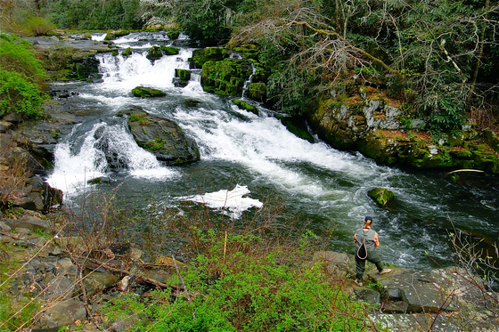 Nantahala National Forest