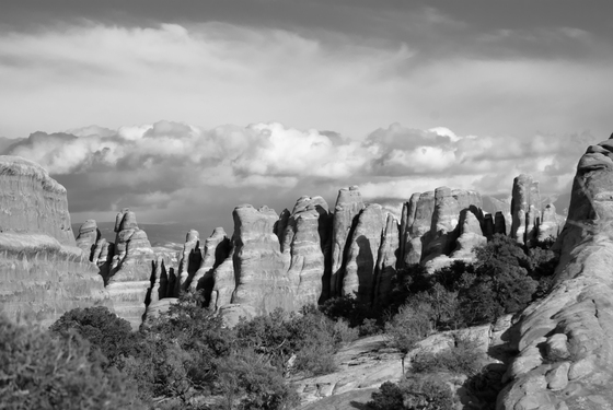 Arches National Park