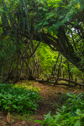 Virgin Islands National Park
