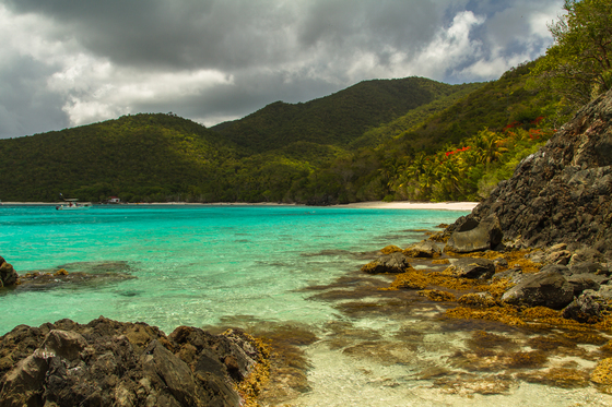 Virgin Islands National Park
