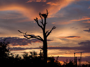 Fort Pickens